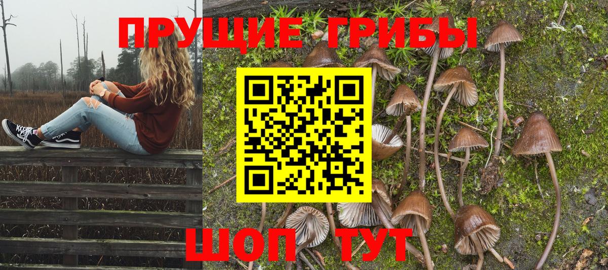 Псилоцибиновые грибы GOLDEN TEACHER  Вход с VPN  Кашира  Галлюциногенные грибы Magic Shrooms 