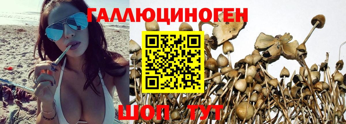 Галлюциногенные грибы MAGIC MUSHROOMS Кашира